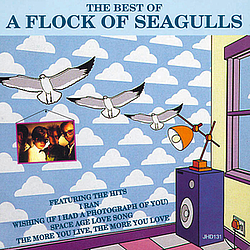 A Flock Of Seagulls - The Best of a Flock of Seagulls album