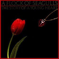 A Flock Of Seagulls - The Story of a Young Heart album