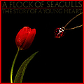 A Flock Of Seagulls - The Story of a Young Heart album