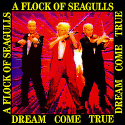 A Flock Of Seagulls - Dream Come True album