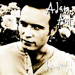 Adam Ant - Extra Wonderful album