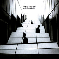 Teramaze - Not The Criminal альбом