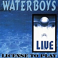 The Waterboys - License to Play album