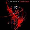 The Waterboys - Karma To Burn album