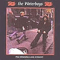 The Waterboys - Windmill Lane Sessions album