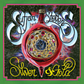 Sufjan Stevens - Silver &amp; Gold album