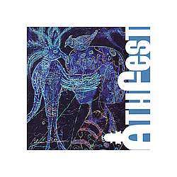 Perpetual Groove - AthFest 2008 album