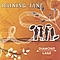 Raining Jane - Diamond Lane альбом