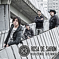 Rosa De Saron - Horizonte Distante album