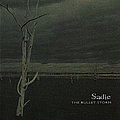 Sadie - THE BULLET STORM album