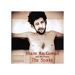 Shane MacGowan - The Snake album