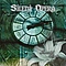 Silent Opera - Immortal Beauty album