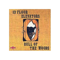 13th Floor Elevators - Bull of the Woods альбом