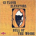 13th Floor Elevators - Bull of the Woods album