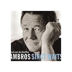 Wolfgang Ambros - Ambros singt Waits - Nach mir die Sintflut album