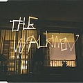 The Walkmen - The Rat album
