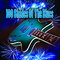 Various Artists - 100 Shades Of The Blues album