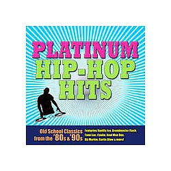 Various Artists - Platinum Hip Hop Hits (Re-Recorded / Remastered Versions) album