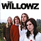 Willowz, The - Talk In Circles album