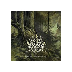 Dark Forest - Land of the Evening Star album