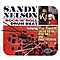 Sandy Nelson - Rock &#039;n&#039; Roll Drum Beat album