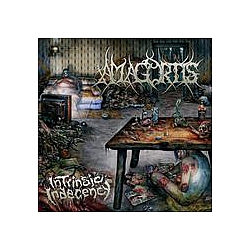 Amagortis - Intrinsic Indecency album
