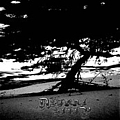 Astral Sleep - S/T album