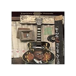 Elmore James - King of the Slide Guitar (Vol 2) album