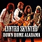 Lynyrd Skynyrd - Down Home Alabama album