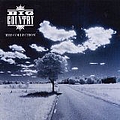 Big Country - The Collection album