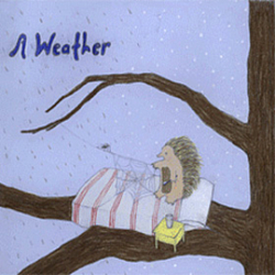A Weather - The Feather Test альбом