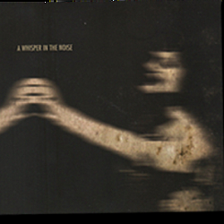A Whisper In The Noise - A Whisper In The Noise album