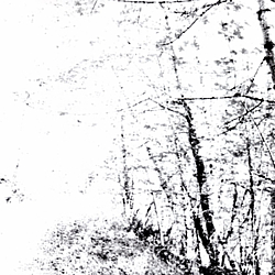 Agalloch - The White EP альбом