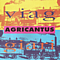 Agricantus - Viaggiari album