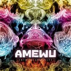 Amewu - Entwicklungshilfe album