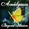 Analgesia - Beyond Illusion album