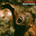 Babybird - Bugged альбом