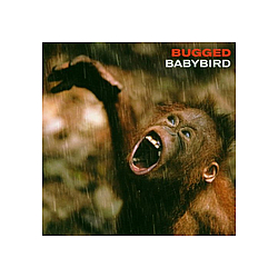 Babybird - Best Of альбом
