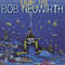 Bob Neuwirth - Look Up album