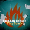 Brendan Benson - Tiny Spark album