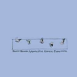Brown Feather Sparrow - Wide Awakens Everything album