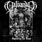 Calvarium - Assaulting the Divine album