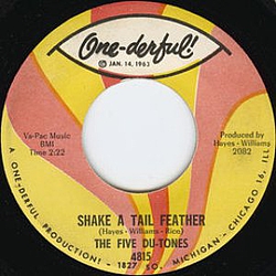 The Five Du-Tones - Shake a Tail Feather / Divorce Court album