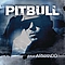 Pitbull - I Am Armando (Armando Reloaded) album