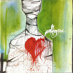 Colligere - S. N. album