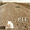 P.I.F. - Pictures in frames album