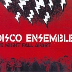 Disco Ensemble - we might fall apart album