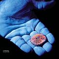 Coldplay - The Blue Room альбом