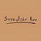 Straylight Run - Demo album