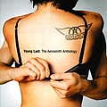 Aerosmith - Young Lust: The Aerosmith Anthology album